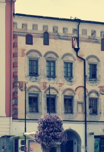a large building with a tree in front of it at Zentrumsnahe Privatunterkunft Freistadt in Freistadt