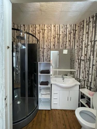 une salle de bain avec douche et lavabo dans l'établissement L Olivier, à Bout dʼAmont