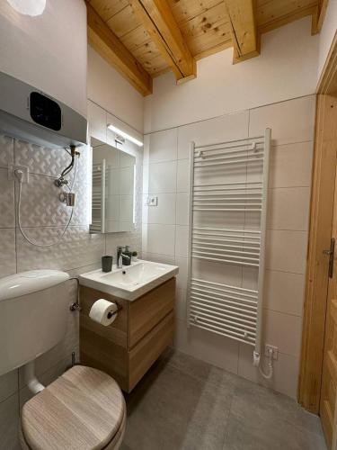 a bathroom with a sink and a toilet and a mirror at Tópart Nyaraló in Sárospatak
