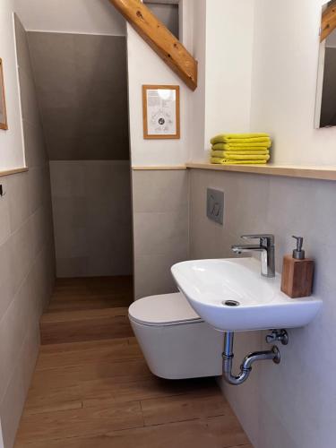 a bathroom with a toilet and a sink at Penzion Hají in Janov nad Nisou