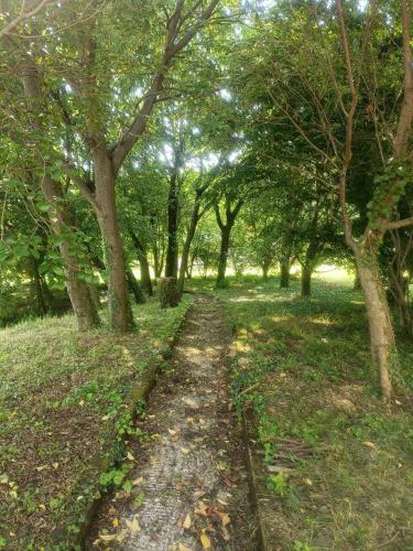 a dirt path through a forest with trees at Villa Hélène in Solto Collina