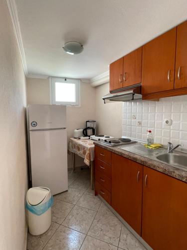 a kitchen with a white refrigerator and a sink at Avdikos House in Parga