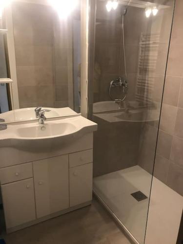 y baño con lavabo y ducha. en Appartement lumineux et rénové, en Digne-les-Bains