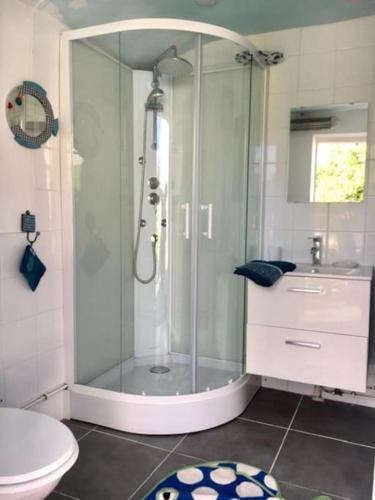 une salle de bain avec une douche avec des toilettes et un lavabo dans l'établissement Maison face à l'étang, à Précy