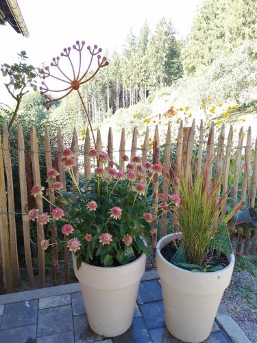 Giardino di Ferienwohnung deine Rauszeit