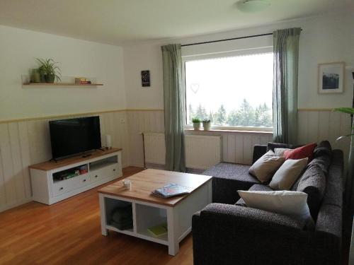 a living room with a couch and a tv at Ferienwohnung deine Rauszeit in Seebach