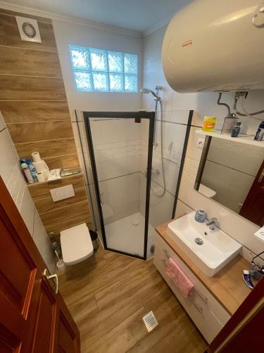 a bathroom with a sink and a mirror at Gold Sea Apartman in Siófok