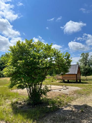 Green River - robinzonski kamp – Photos 3