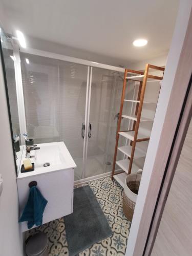 une salle de bain avec une douche, un lavabo et des toilettes dans l'établissement T3 terrasse classé 4 étoiles le Poulpe 200m front de mer, à Banyuls-sur-Mer