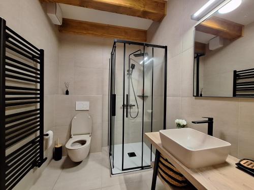 a bathroom with a shower and a toilet and a sink at Apartmán Jezerné in Velké Karlovice