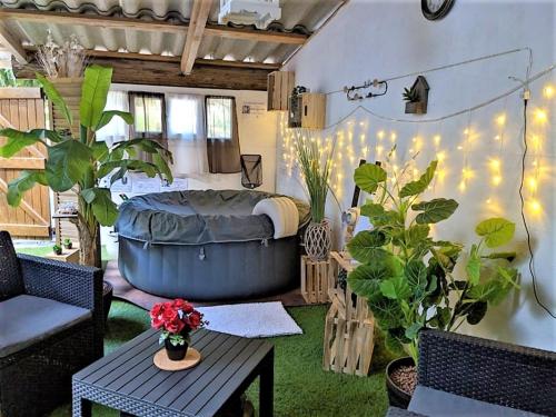 Cette chambre comprend un lit ainsi que des plantes et des lumières. dans l'établissement Studio 19 cosy avec jacuzzi et jardinet privatifs, à Draguignan