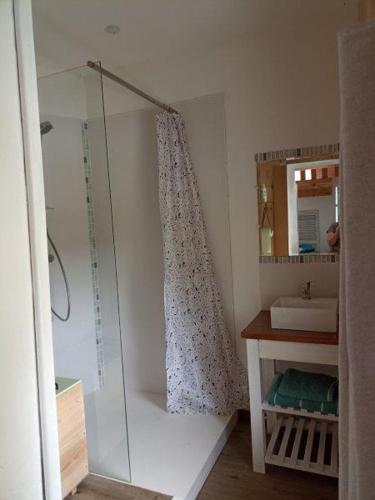 une salle de bain avec une douche en verre et un lavabo dans l'établissement le Caraquet, à Boursin