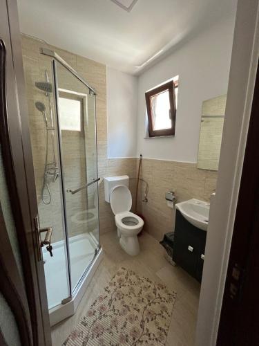 a bathroom with a shower and a toilet and a sink at La Mona in Bîrsana