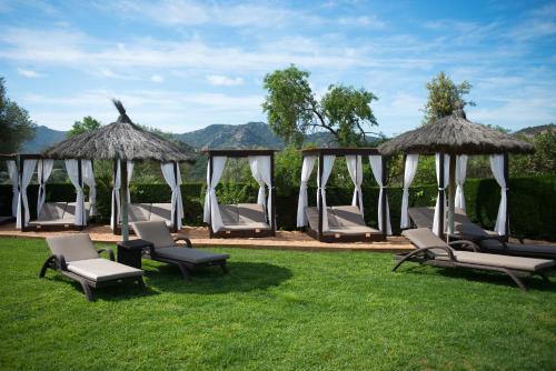 a group of chairs and umbrellas on the grass at Suites Natura Mas Tapiolas in Santa Cristina d'Aro