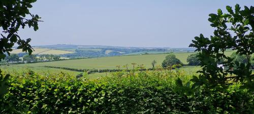 a view of a green field from a tree at Polborder Holidays Looe Country Park in Looe