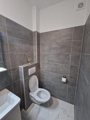 a bathroom with a toilet and a sink at Apartman Ivan in Kruševo
