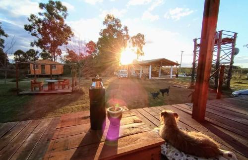 un chien assis sur une table en bois avec le coucher du soleil en arrière-plan dans l'établissement Campo Verde, à Concordia