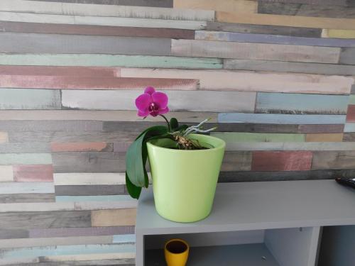 Fotografie z fotogalerie ubytování Tina apartman v destinaci Prnjavor