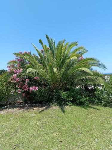 Gallery image of Alonia Summerhouse in Fanes in Phanaes