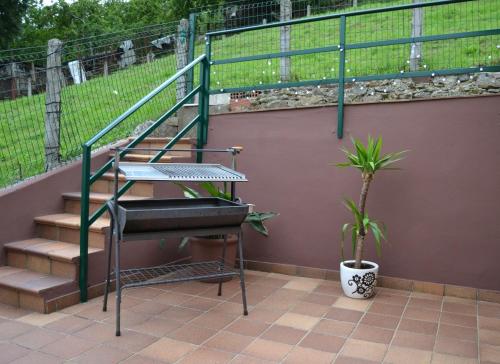 a staircase and a potted plant on a patio at Casa Fidel in Fontanina