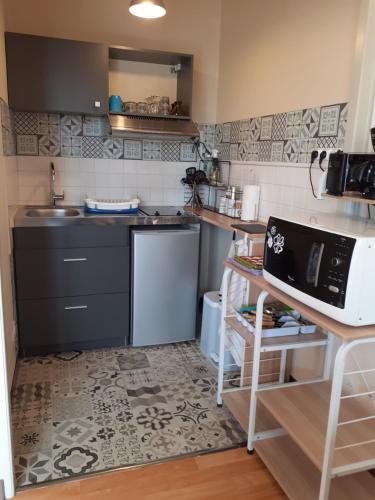 une petite cuisine avec un évier et un micro-ondes dans l'établissement L'échappée blésoise, à Blois