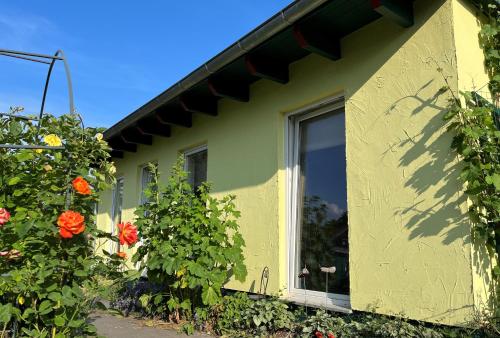 a green house with a window and flowers at Ferienwohnung Schmidt in Wernigerode
