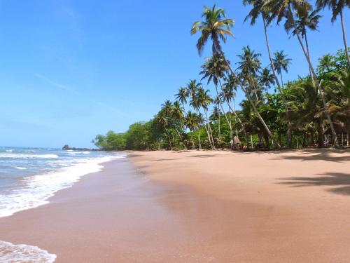 a sandy beach with palm trees and the ocean at Ankobra Beach Resort in Axim