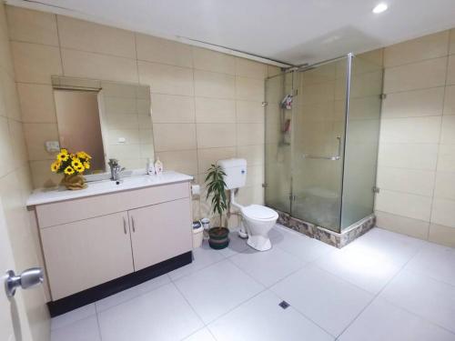 a bathroom with a shower and a toilet and a sink at Master Bedroom in Shared Cozy River View Pool Apartment in Nadi