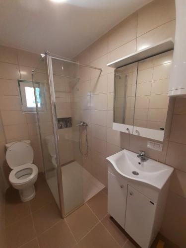 Gallery image of Apartman Predah Banja Vrujci in Gornja Toplica