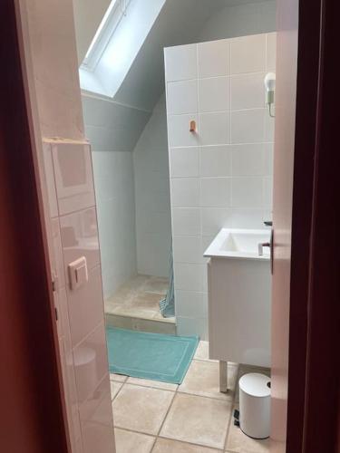 a small bathroom with a shower and a sink at La Grangette in Béduer