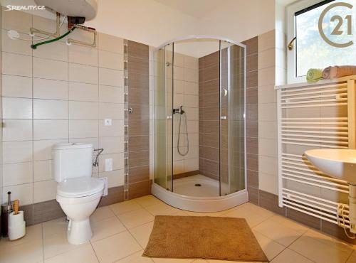 ein Bad mit einer Dusche, einem WC und einem Waschbecken in der Unterkunft Apartmán Slapy, slapská přehrada - Nová Živohošť in Křečovice