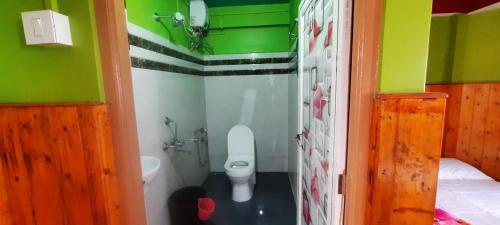 ein Badezimmer mit WC in einem grünen Zimmer in der Unterkunft Bethel Homestay, Darjeeling in Darjeeling