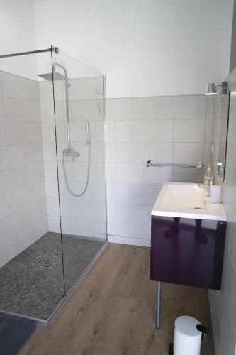 une salle de bain avec une douche et un lavabo et une douche dans l'établissement Loft Porte Sud, à Salles-d'Aude