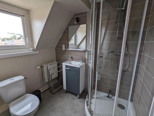 een badkamer met een douche, een toilet en een wastafel bij Appart à coté de la vieille ville de Boulogne sur mer in Boulogne-sur-Mer
