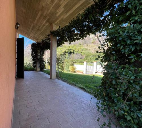an outdoor walkway leading to a house with a hedge at casa mimose rosa II in SantʼAngelo in Pontano