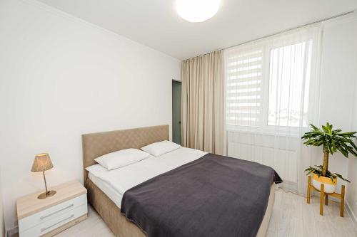 Central home Panoramic view