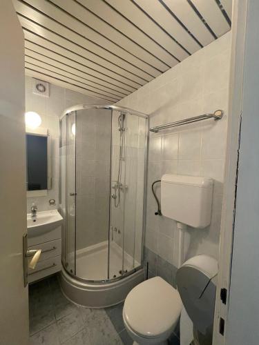 a bathroom with a shower and a toilet and a sink at Bed&Breakfast Villa Eva in Omišalj