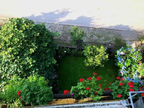 Vườn quanh Apartman Alex 8