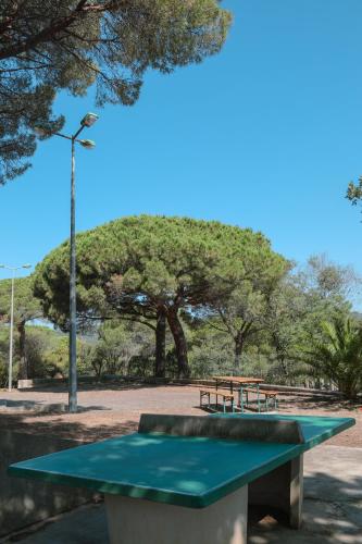 une table verte dans un parc avec un arbre dans l'établissement Camping Ladouceur, à Ramatuelle