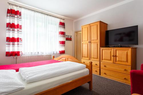 um quarto com uma cama e uma televisão de ecrã plano em Penzion na Smetance em Zlín