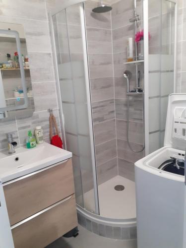 une salle de bain avec douche et lavabo dans l'établissement Studio Cabine Sainte-Cécile à 100m de la plage, à Camiers
