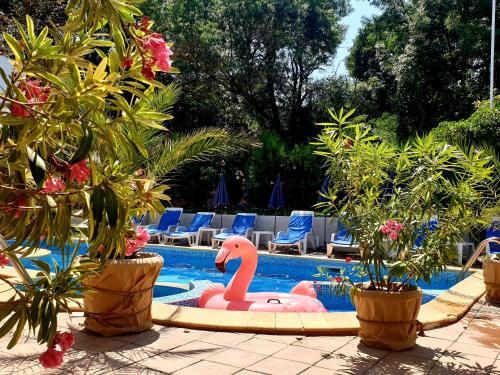 Bazén v ubytování Hotel Feniks Lozenets nebo v jeho okolí