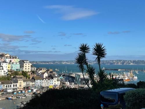 a view of a harbor with houses and a city at Number Eleven, Brixham in Brixham