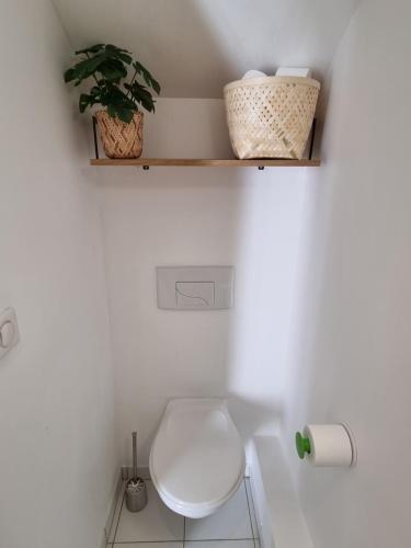 La salle de bains est pourvue de toilettes et d'une étagère avec une plante. dans l'établissement Joli studio hyper-centre, à Nantes