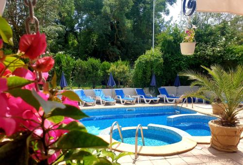 uma piscina com cadeiras azuis e uma piscina em Hotel Feniks em Lozenets