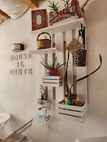 a shelf with potted plants on a wall at House Il Conte in Palermo