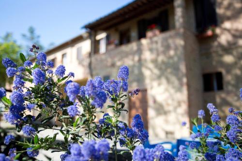 a bunch of purple flowers in front of a building at Agriturismo San Galgano in Chiusdino