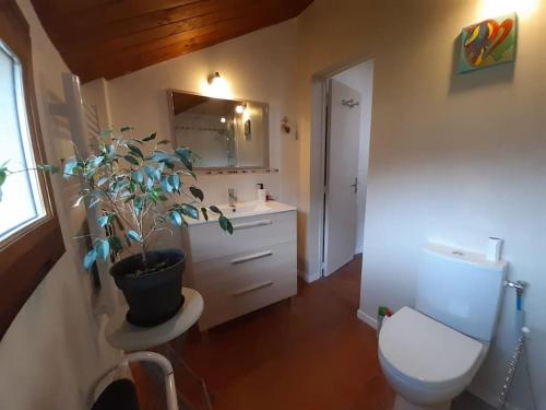 La salle de bains est pourvue de toilettes et d'une plante en pot. dans l'établissement Les Hautes Charmante Ferme solognote, à Ligny-le-Ribault