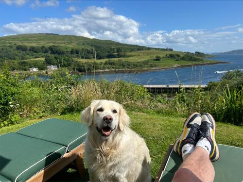 a dog sitting next to a person sitting on a picnic table at Castle View in Lochaline
