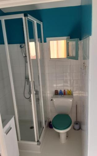 La salle de bains est pourvue d'une douche et de toilettes avec un siège vert. dans l'établissement Jetez l'ancre dans notre maison de pêcheur !, à Collioure